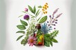 © dasom - essential oils and medical flowers herbs on white background, ai generated