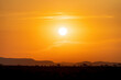 View of Kruger National Park sunset golden hour, South Africa
