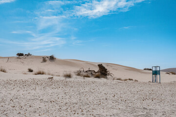 Poster - Sand dunes on the beach by the sea near the town of Porto Pino on the island of Sardinia in Italy
