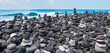 Gestapelte Steine, Steinmännchen, Steinpyramiden,Playa del Castillo, Puerto de la Cruz, Teneriffa, Kanarische Inseln,Spanien,Europa,