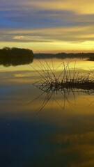 Wall Mural - beautiful morning river landscape at dawn. vertical video