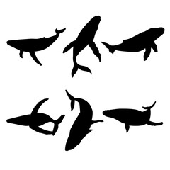 Wall Mural - Set of silhouettes of whales vector design