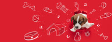 Little Cute Puppy Sleeping Dreaming About Toys, Bones, Food, And New House. Collage With Drawings, Doodles. Animal, Art, Creativity Concept. Banner