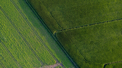 Wall Mural - Colorful patterns in crop fields at farmland, aerial view, drone photo. Abstract geometric shapes of agricultural parcels of different crops green colors. Aerial view shoot from drone. . High quality