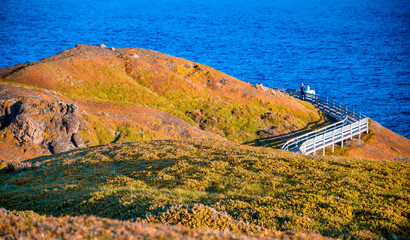 Sticker - Phillip Island Wildlife Park and Point Grant on a sunny afternoon, Australia.