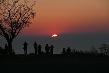 Sticker - The first sunrise of the new year. Traditional cultural events for Japanese people who welcome the new year are going to a Shinto shrine for New Year's visit and watching the first sunrise of the year