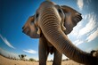  a close up of an elephant with its trunk in the air and a blue sky with clouds in the background with a few clouds in the sky above it, and a few clouds in the foreground. Generative AI