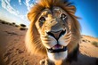 a lion with a long mane standing in the desert looking at the camera with a blue sky in the background and a few clouds in the sky above it, with a few clouds,. Generative AI