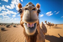  A Camel With Its Mouth Open And It's Tongue Out In The Desert With Other Camels In The Background And A Blue Sky With Clouds And White Fluffy White Fluffy Clouds In The Background.