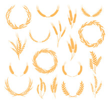 Golden Wheat Wreaths And Ears Set. Agricultural Organic Plant For Bakery, Bakehouse, Farm Market Logo Or Label Design Cartoon Vector Illustration