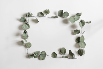 Wall Mural - Minimal floral frame made of dry eucalyptus tree leaves and branches. Green rectangular wreath isolated on white table background. Natural composition, decor. Flat lay, top view. No people. Web banner