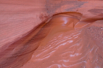  Mudpuddle in the desert