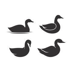 Wall Mural - duck logo vector simple illustration