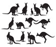 Kangaroo illustrated silhouette, stencil templates set. Objects for packaging design, tattoo, items for cutting, printing sublimation