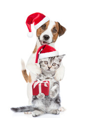 Wall Mural - Happy Jack russell terrier puppy and funny cute kitten wearing santa hats standing together with gift box. isolated on white background