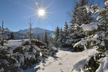 Wall Mural - sunny snowy landscape in alpine mountains with fir trees and chalet