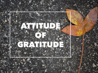 Wall Mural - Motivational and inspirational wording. Attitude of gratitude. Written on blurred vintage styled background.