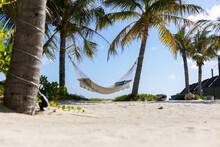 Hammock Between Palm Trees On A Island With Blue Sky And Sand, Holiday Relaxation At The Beach In A Hammock