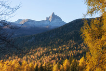 Scenic View Of Mountains Against Clear Sky In Forest During Autumn