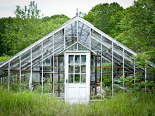 An Abandoned Greenhouse