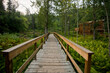 © Cavan Images - Boardwalk inÂ Laird Hot Spring, British Columbia, Canada