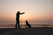 Mann und Hund als Silouetten am Strand bei Sonnenuntergang, Mann wirft einen Stock