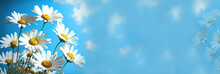 White Daisies Against The Blue Sky, Generative Ai Horizontal Sky Clouds Banner