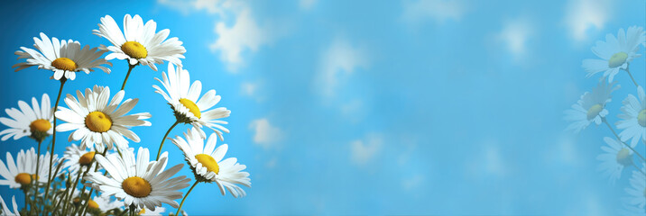 white daisies against the blue sky, generative ai horizontal sky clouds banner