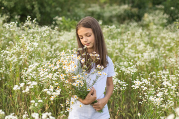 Portrait of a girl in a white T-shirt on a blooming field of daisies with a bouquet in her hands. A field of daisies on a sunny summer day. Selective focus.