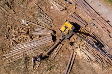 Wall Mural - Logs are loading into an enormous transportation truck by operator of crane that has just felled new forest