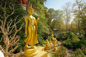 Golden buddha statue among trees at Wat Phra Phutthachai. Beautiful landscape with sunlight.