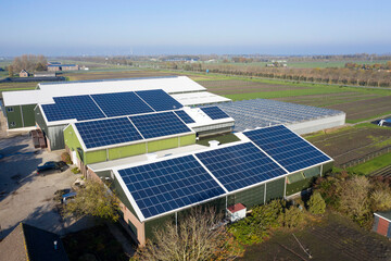 Flower bulb company with solar panels in a row on a roof. Photo taken with a drone.
Photovoltaic modules for renewable energy.Save the earth and the energy with good environment concept.