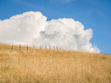 Landscape View Of Plains And Clear Blue Summer Sky And Fluffy White Clouds. Beautiful Summery Dry Yellow Grassland With Big Cloud Over It.