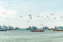 Fishing Boats And Pelicans In The Sea