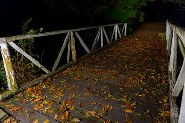 Wall Mural - Night photo af a Wooden bridge covered with autumn fallen leaves. River bridge in autumn forest. Bridge over autumn river. Autumn forest bridge way in scenery fall woods. Romantic view image scene