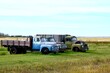 © Murray - old farm trucks in a field
