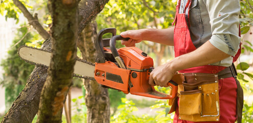 Wall Mural - Chainsaw. Close-up of woodcutter sawing chain saw in motion, sawdust fly to sides. Concept is to bring down trees.