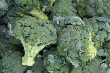 Wall Mural - fresh broccoli on the market