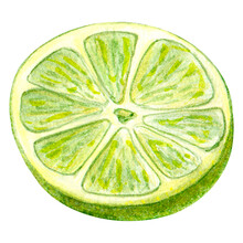 Half Of A Lime Fruit, A Slice. Fragrant Green Citrus. Aromatherapy Food. Watercolor Illustration On A White Background