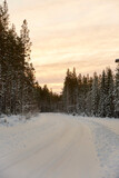 Fototapeta Do pokoju - winter forest road with snow at sunset