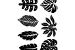 leaf collection set bundle silhouette vector illustration asset element nature, plant, flower, tropical leafs editable