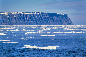 Canvas Print - Rocky coast at Svalbard with ice floes