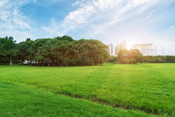 Wall Mural - trees with large courtyards and green lawns.