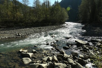 Wall Mural - Mountain river flowing on sunny day. beautiful landscape