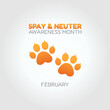 vector graphic of spay and neuter awareness month good for spay and neuter awareness month celebration. flat design. flyer design.flat illustration.