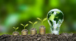 the light bulb sits on the ground Plants grow on stacked coins. Renewable energy production is essential for the future. Green businesses using renewable energy can limit climate change.