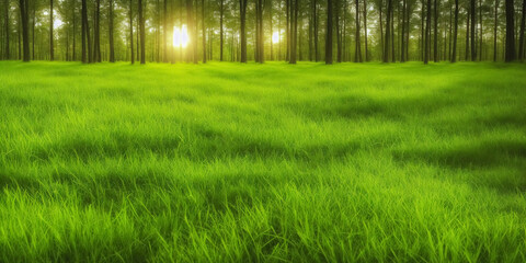 Spring green abstract forest background. Spring or summer and grass field with sunny background. Spring Nature. Beautiful Landscape. Green Grass and Trees