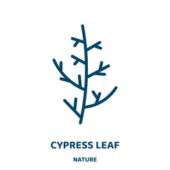 Wall Mural - cypress leaf vector icon from nature collection. wood filled flat symbol for mobile concept and web 