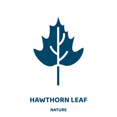 Wall Mural - hawthorn leaf vector icon from nature collection. tree filled flat symbol for mobile concept and web