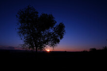 Scenic View Of Silhouette Tree On Landscape Against Blue Sky During Sunset